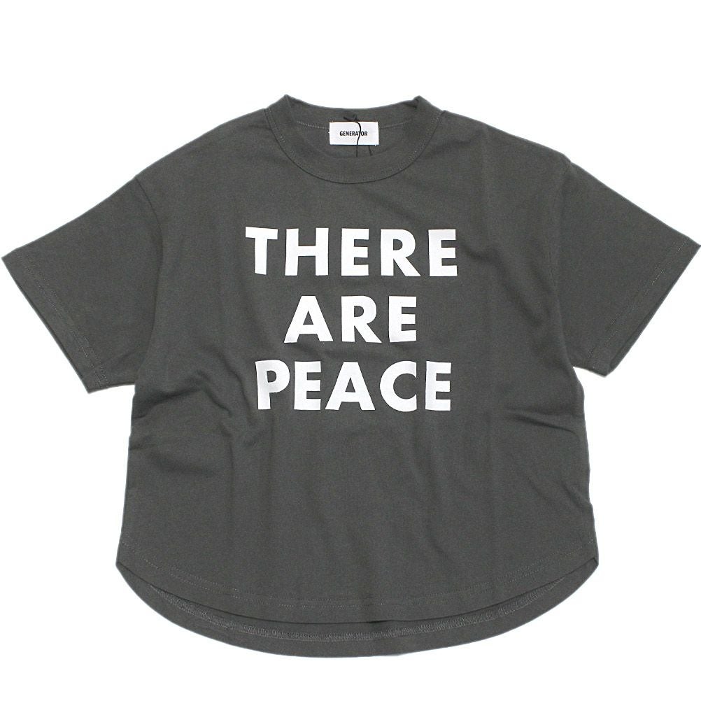 チャコールグレー(CG)