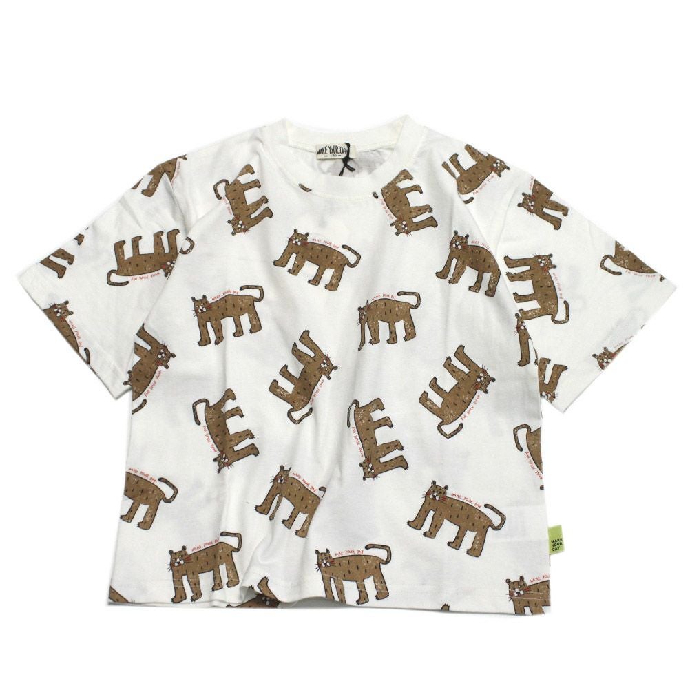 オフホワイト(OW)