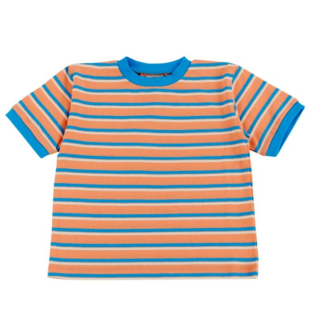 アプリコット(AP)