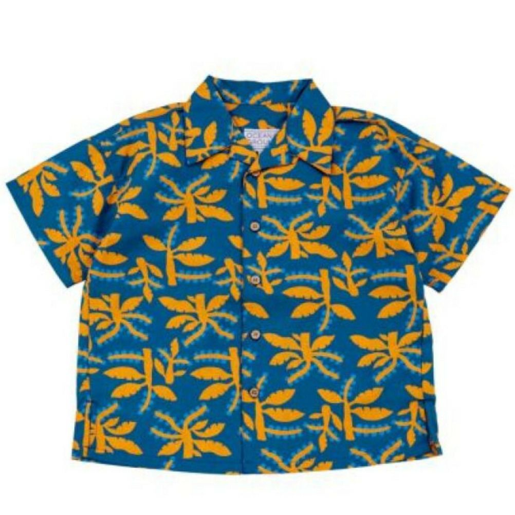 ダークブルー(DB)