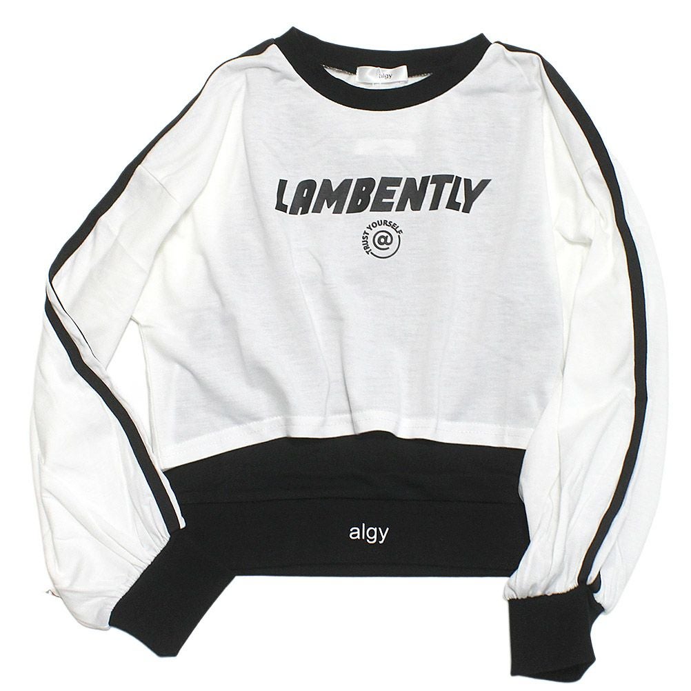 オフホワイト(OW)