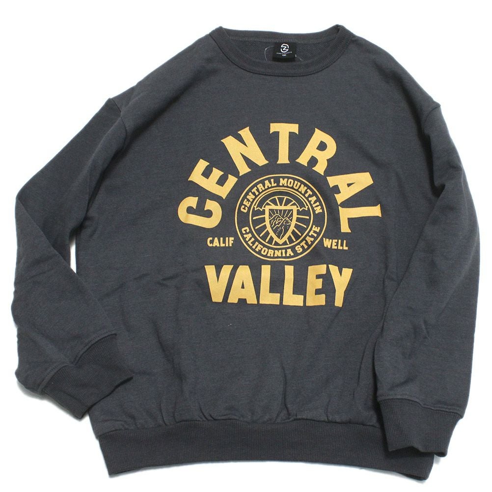 チャコールグレー(CG)