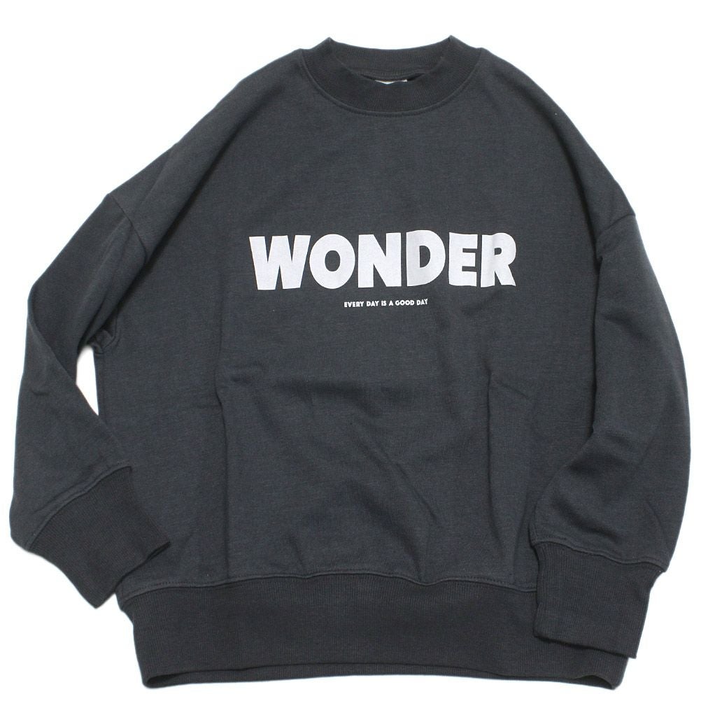 チャコールグレー(CG)