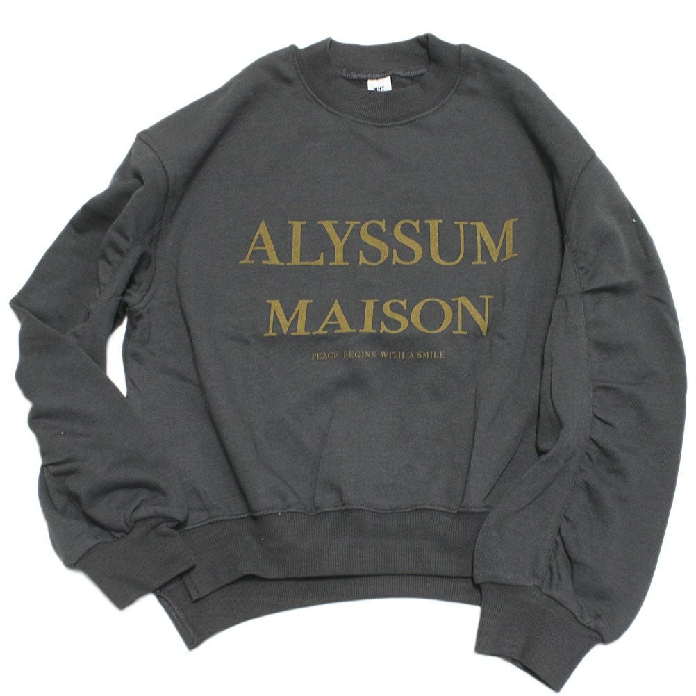 チャコールグレー(CG)