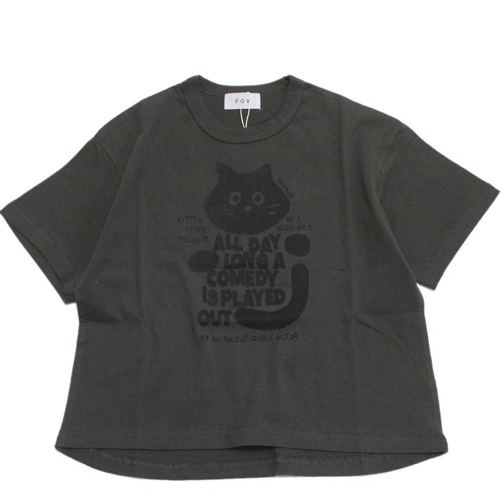 チャコールグレー(CG)