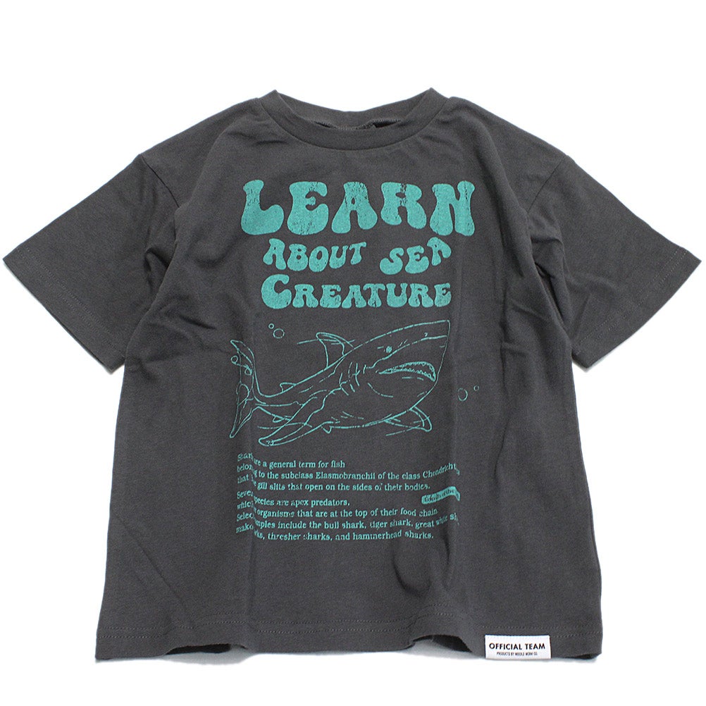 チャコールグレー