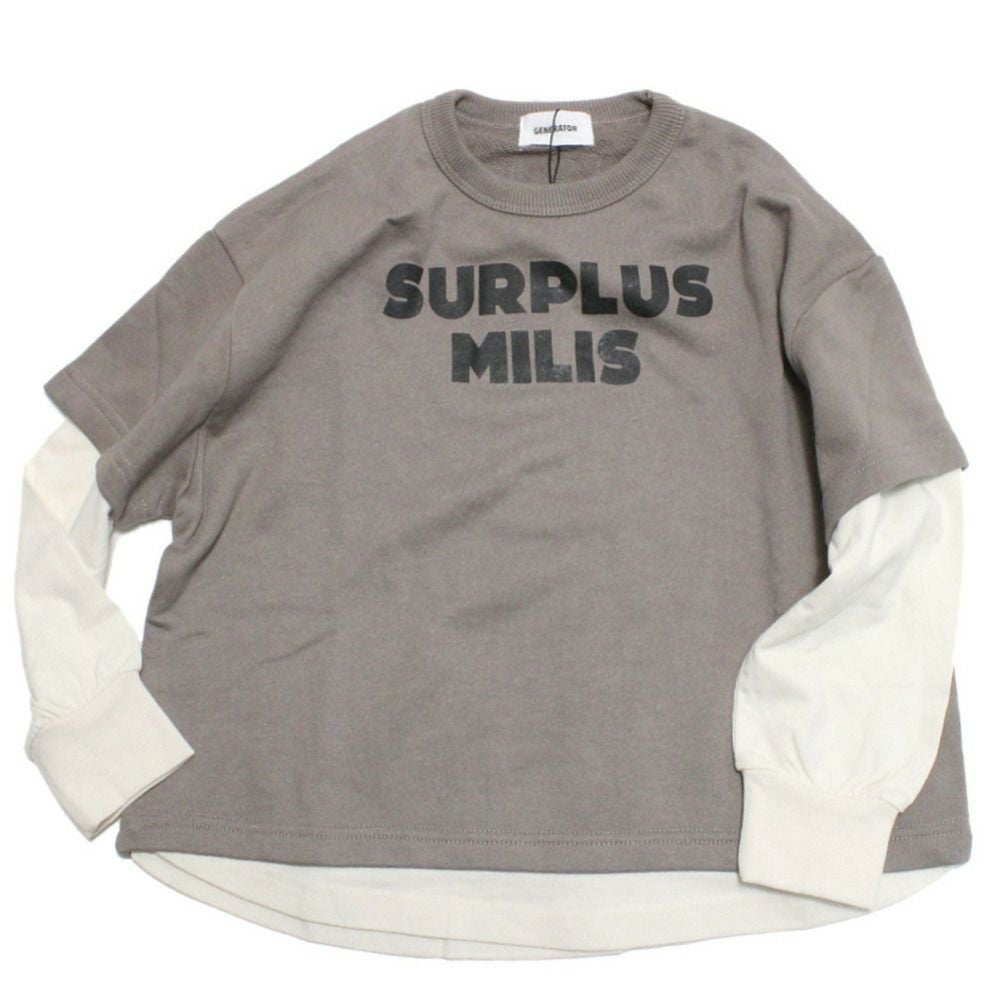 アッシュグレー(AG)