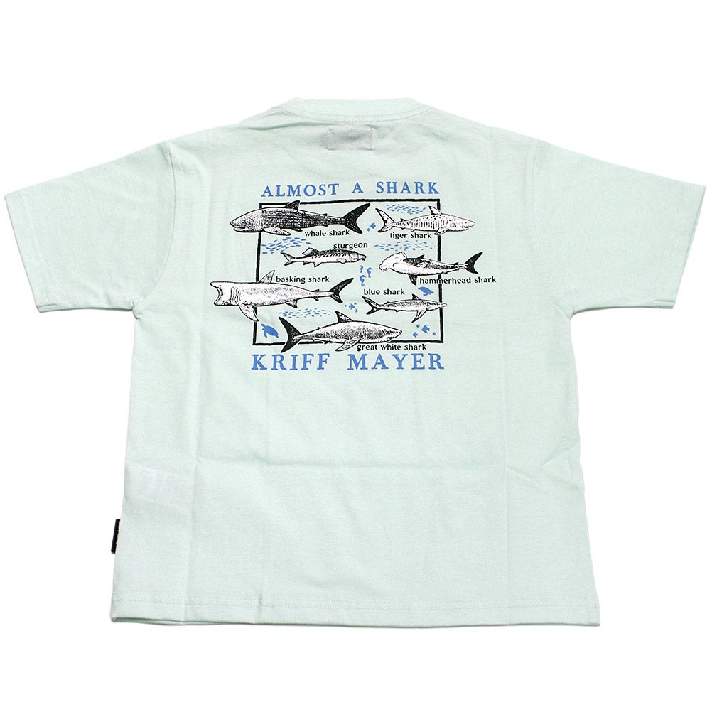 ミントグリーン(61)